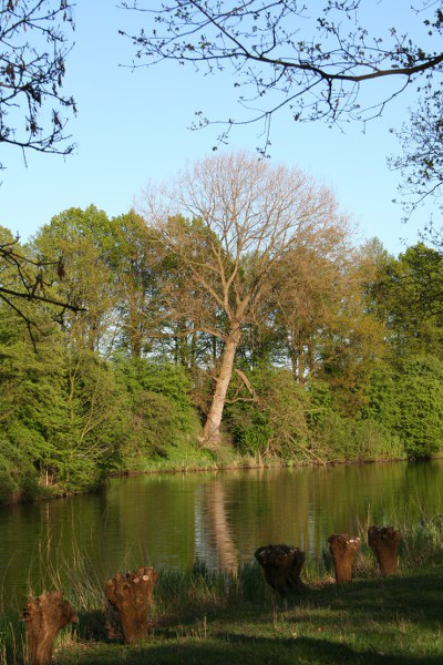 20090424 177 400x600
