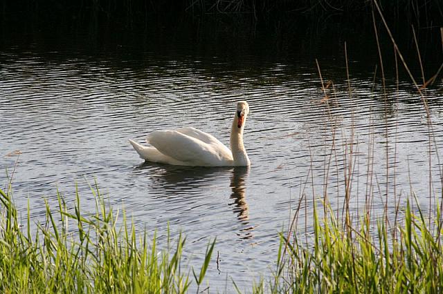 20090424 197 800x533