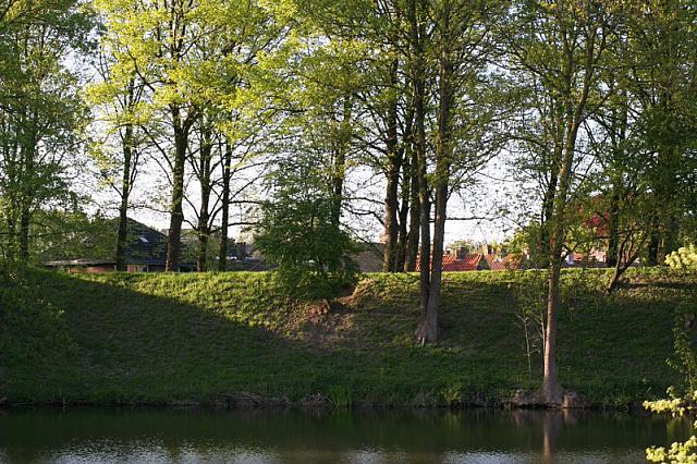 20090424 200 800x533