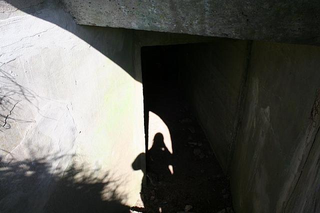 20090424 262 800x533