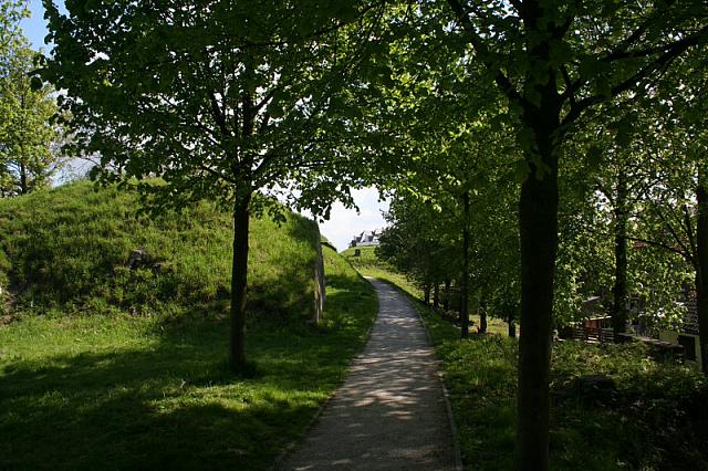 20090424 281 800x533