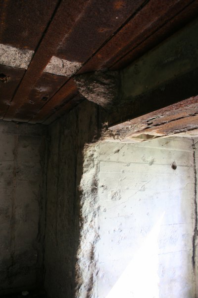 20090424 309 400x600