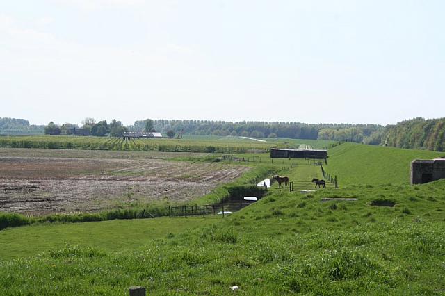 20090424 324 800x533