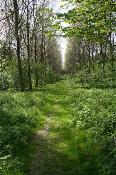 20090424 365 400x600