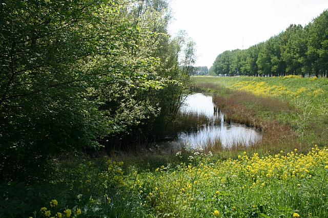 20090424 389 800x533