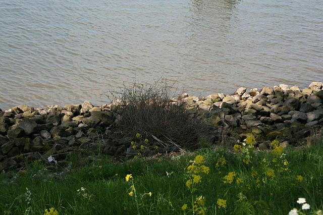 20090424 407 800x533