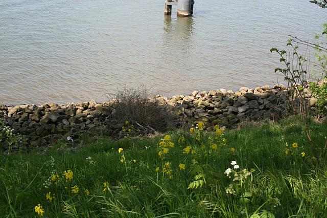 20090424 408 800x533