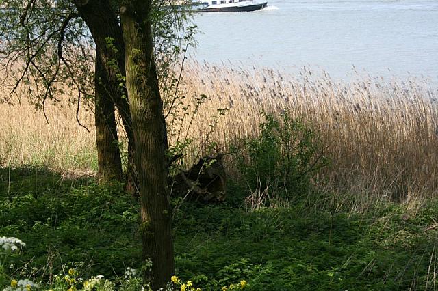 20090424 412 800x533