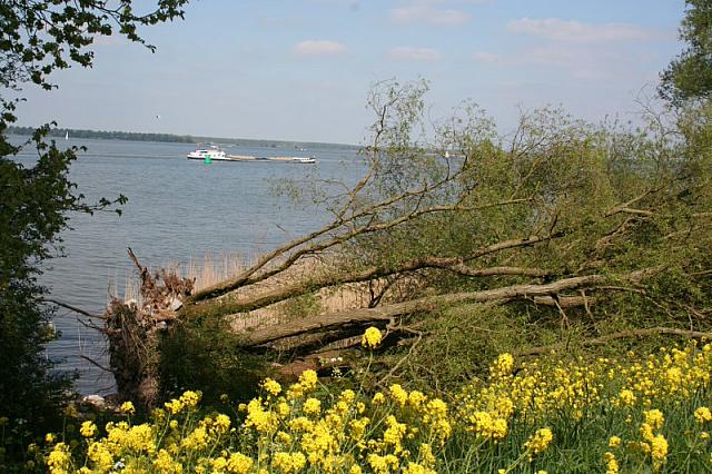 20090424 419 800x533