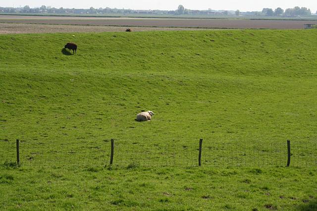 20090424 422 800x533