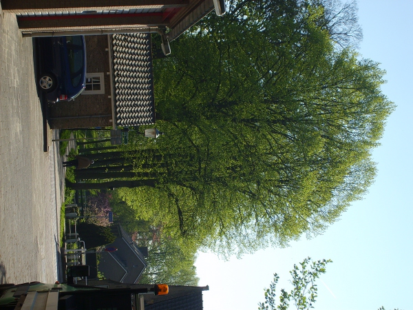 S6000020 600x450