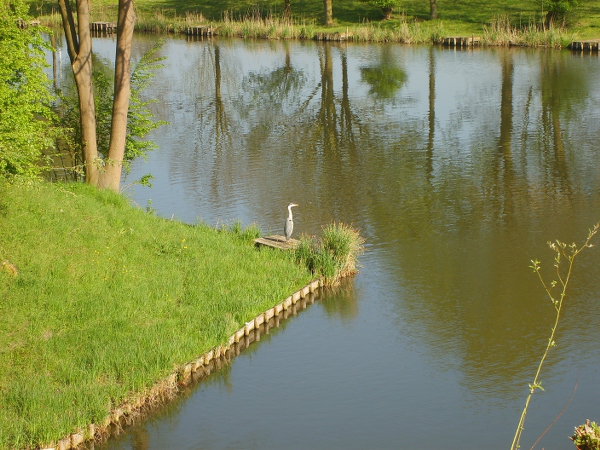 S6000027 600x450