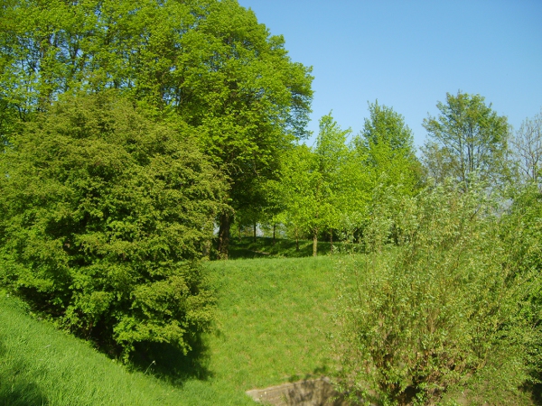 S6000028 600x450