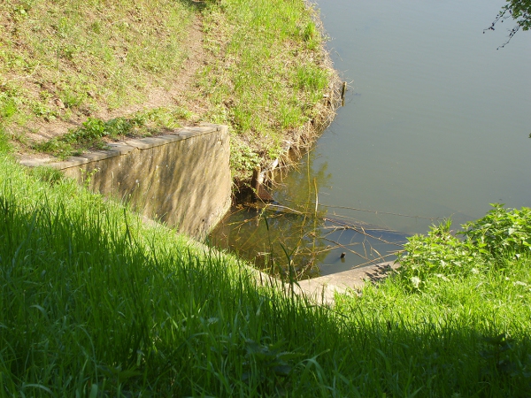 S6000035 600x450