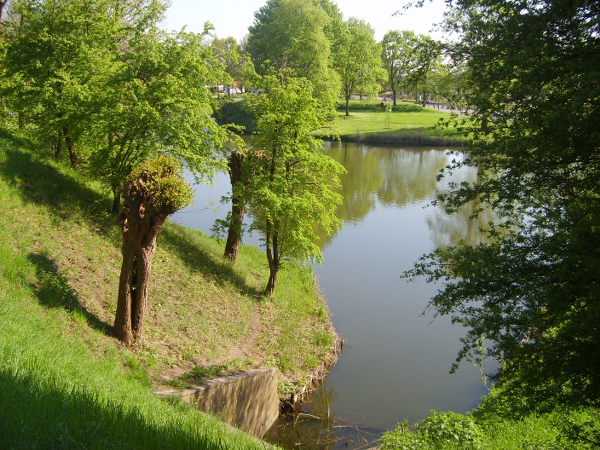 S6000036 600x450