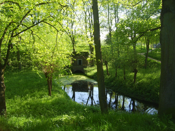 S6000052 600x450