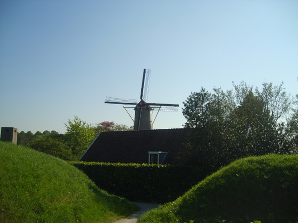 S6000071 600x450
