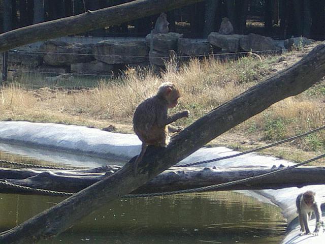 IMGP4889 800x600