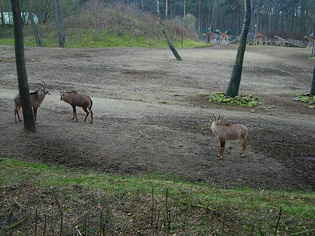 S6000112 800x600
