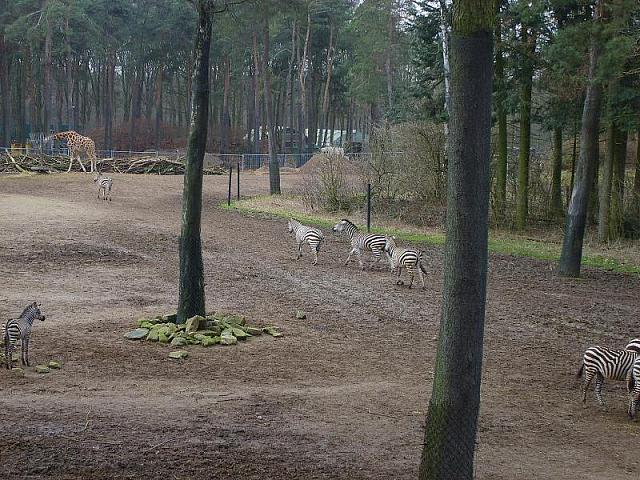 S6000122 800x600