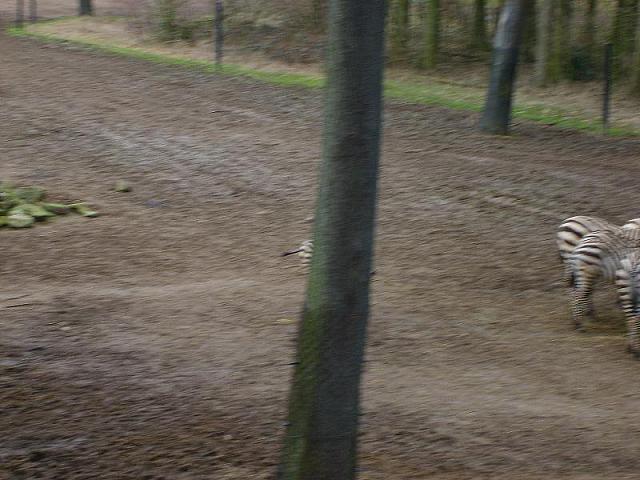 S6000124 800x600