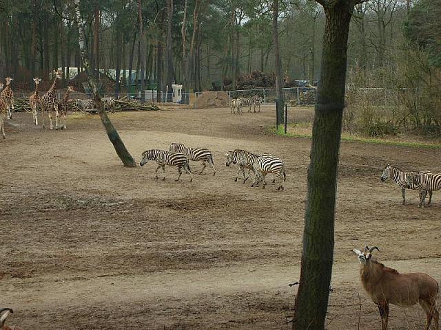 S6000138 800x600