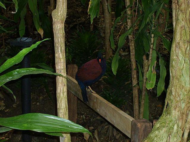 S6000173 800x600