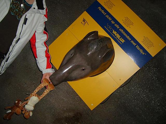 S6000207 800x600