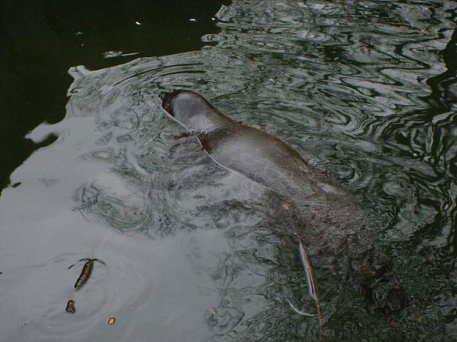 S6000217 800x600