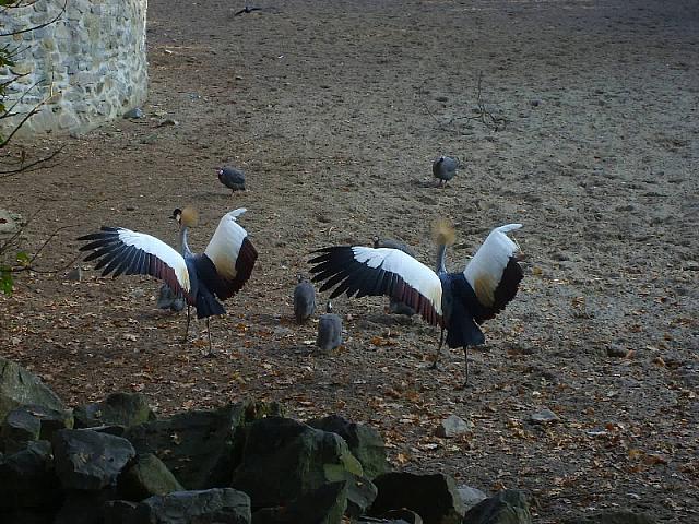 S6000014 800x600