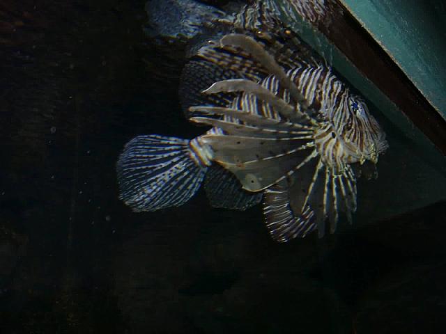 S6000059 800x600