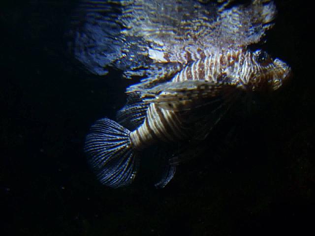 S6000060 800x600