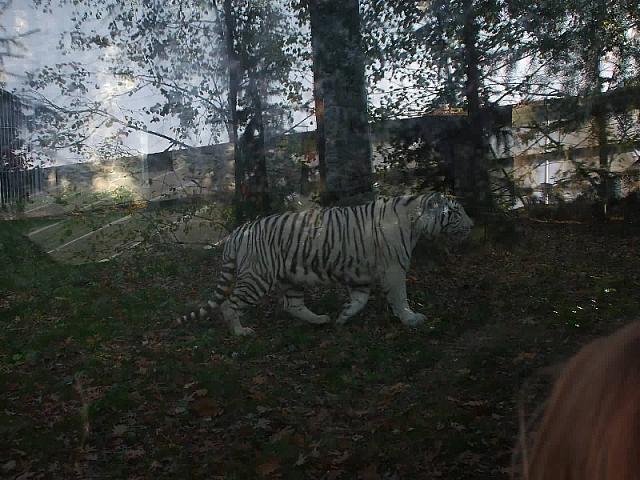 S6000213 800x600