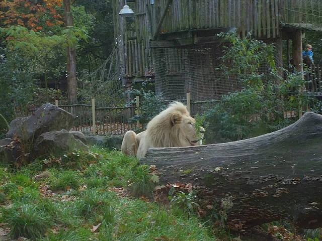 S6000238 800x600