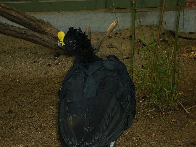 S6000009 800x600