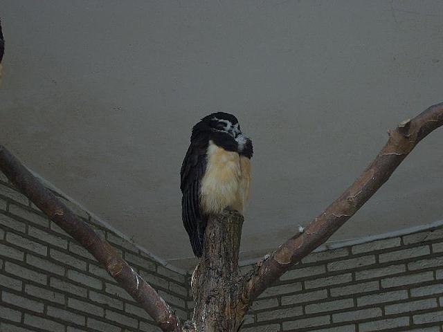 S6000055 800x600