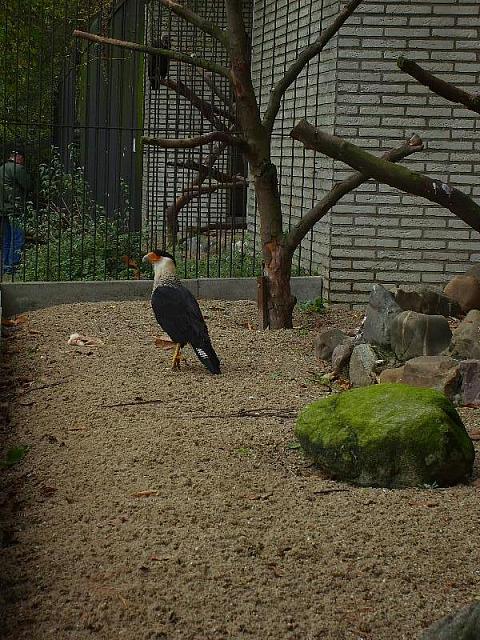 S6000077 800x600