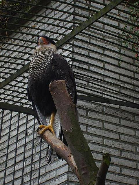 S6000079 800x600