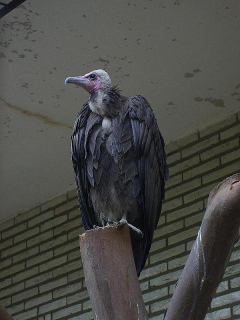 S6000082 800x600