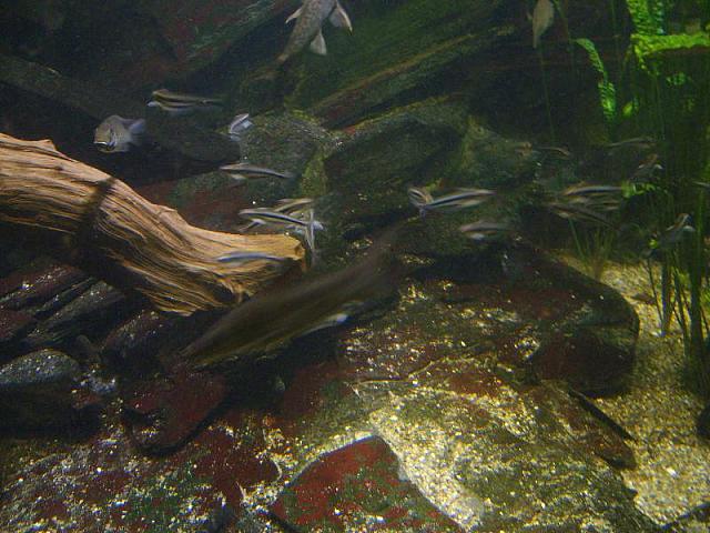 S6000181 800x600