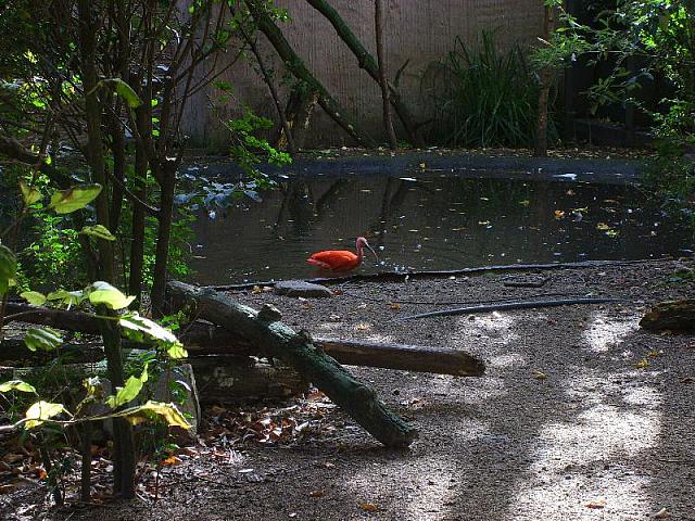 S6000250 800x600