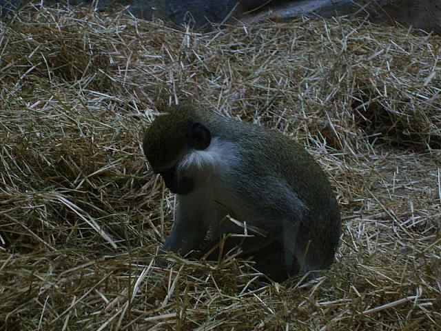 S6000270 800x600