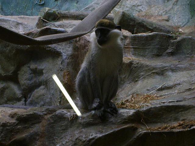 S6000273 800x600
