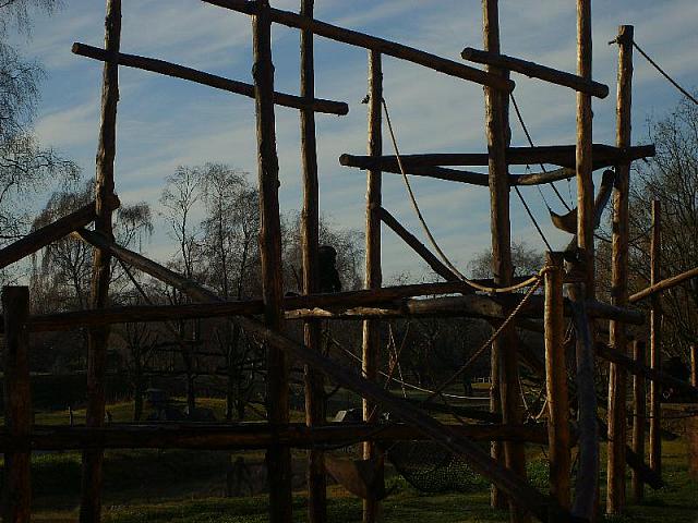 S6000015 800x600