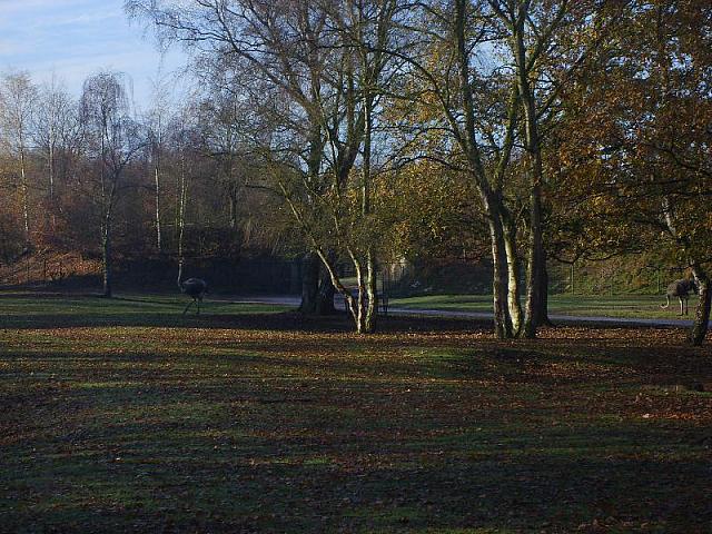 S6000022 800x600
