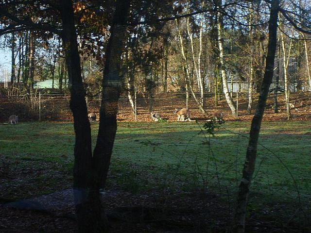 S6000024 800x600