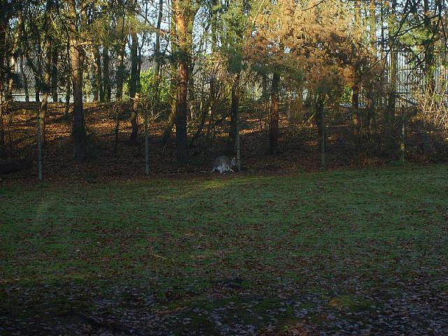S6000029 800x600