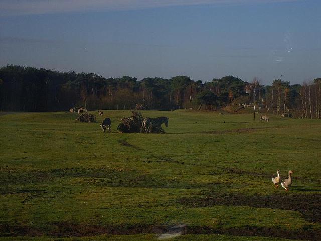 S6000049 800x600