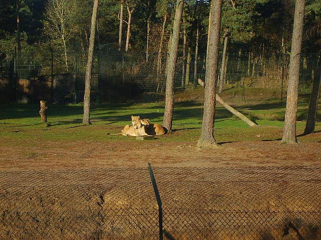 S6000053 800x600