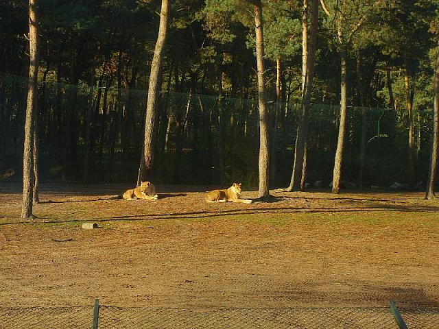 S6000055 800x600